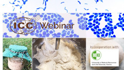 icc_webinar_sourdough_in_cooperation_with_boku_250.jpg