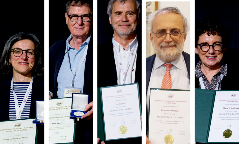 ICC Academy Fellowships and Friedrich Schweitzer Medal 2024