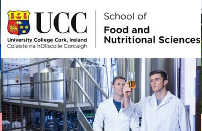 PhD scholarship open at the University College Cork