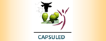 logo_capsuled.png